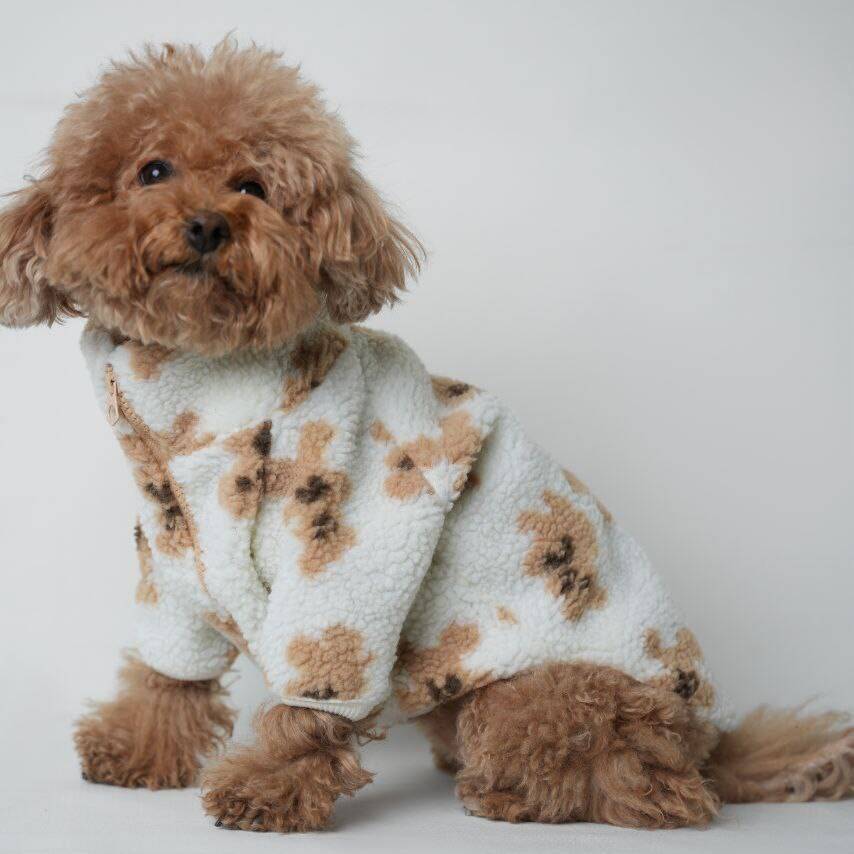 لباس تدی عروسکی MP